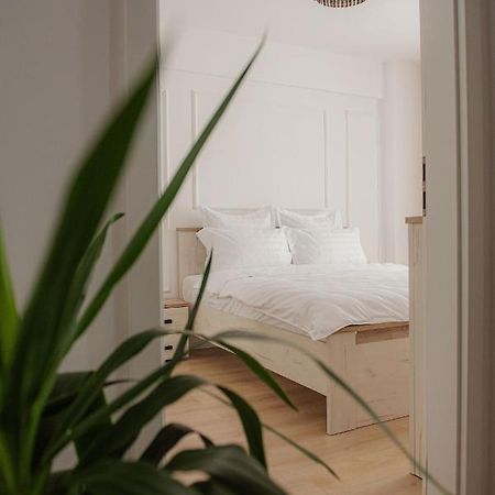 Modern Apartment In Timişoara Extérieur photo