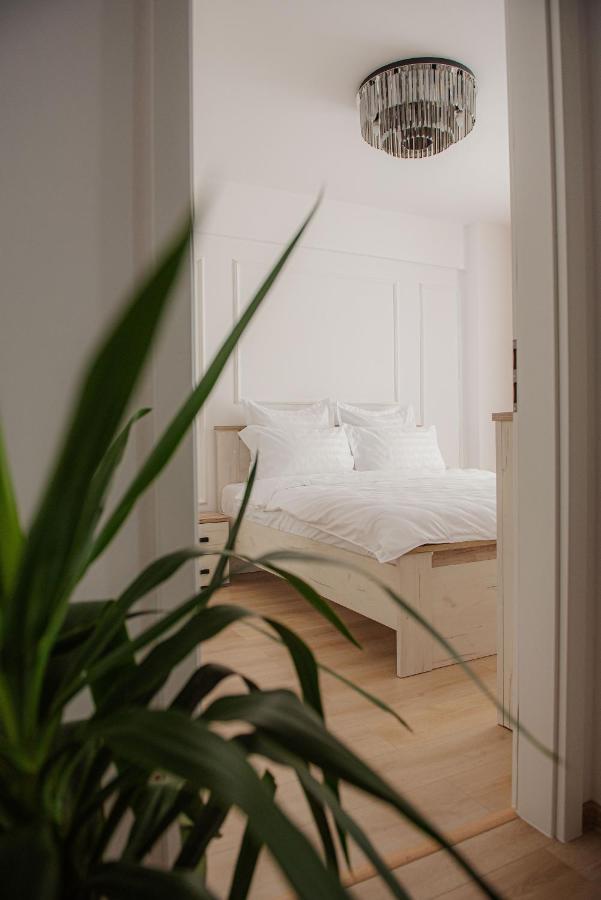 Modern Apartment In Timişoara Extérieur photo